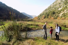 20171217_3892 (Medium)