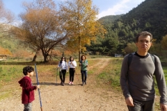 20171217_3899 (Medium)