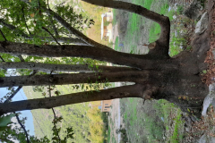 20191110_115208