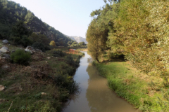 DSCN0019