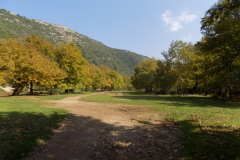 DSCN0027