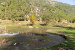 DSCN0029
