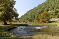 DSCN0030