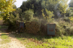 DSCN0031