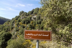 DSCN0015