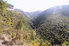 DSCN0022