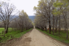 DSCN0040