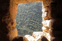 10348307_10152713607102584_8125188723190140607_n