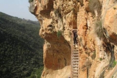 11042954_10152713608907584_1483065388023664514_n