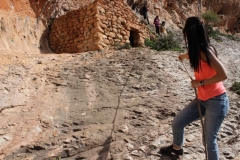 11064193_10155331442070578_273596647_o