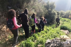 IMG-20171230-WA0007 (Large) (Medium)