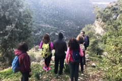 IMG-20171230-WA0008 (Large) (Medium)