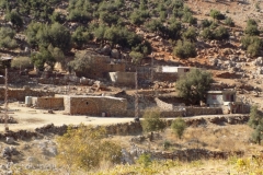 DSCN0070