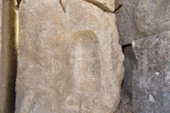 DSCN0083