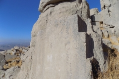 DSCN0088