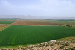 20160410_143934