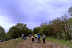 DSCN0046