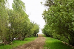DSCN0055