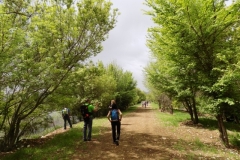 DSCN0081