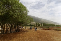 DSCN0083