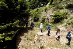 DSCN0032