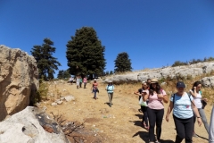 DSCN0008