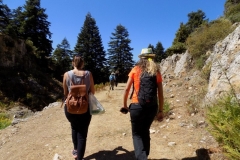 DSCN0020