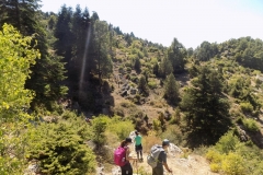 DSCN0064