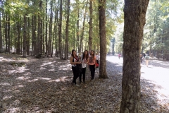 DSCN0080