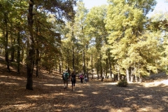 DSCN0081