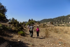 DSCN0084