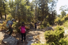 DSCN0085