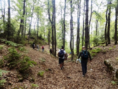 Ammouaa Hike 29-07-2018