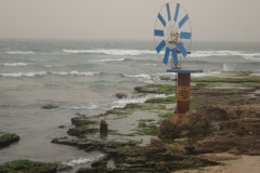IMG_1562