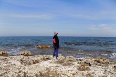 DSCN0017