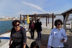 DSCN0053