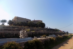 DSCN0052