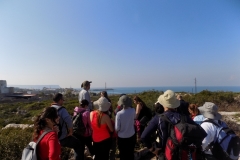 DSCN0080