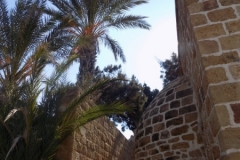 DSCN0110
