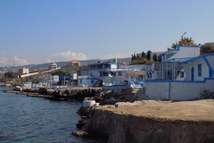 DSCN0119