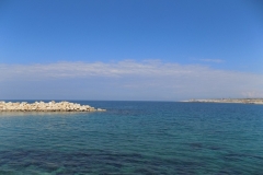 DSCN0131