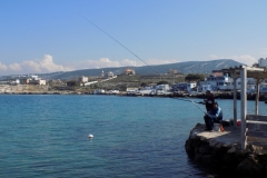 DSCN0138