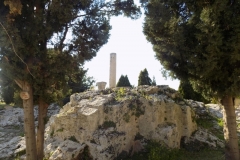DSCN0162