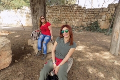 DSCN0135