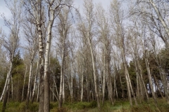 DSCN0205