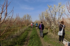 DSCN0238