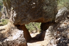 DSCN0107