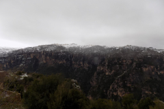 DSCN0037