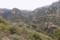 DSCN0059