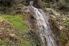DSCN0065